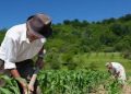 Defensoría del Pueblo urge al Congreso a aprobar ya la ley de jurisdicción agraria: “Es un acto de justicia con el campo”