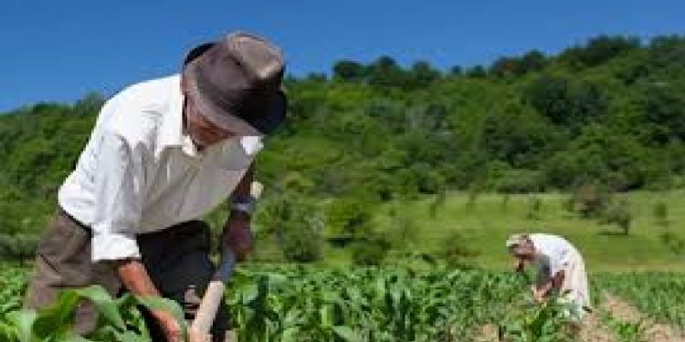 Defensoría del Pueblo urge al Congreso a aprobar ya la ley de jurisdicción agraria: “Es un acto de justicia con el campo”