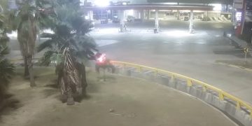 Accidente en rotonda de Las Flores: menor tomó el carro familiar sin permiso y terminó contra una rotonda