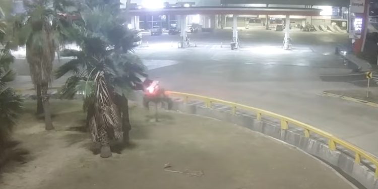 Accidente en rotonda de Las Flores: menor tomó el carro familiar sin permiso y terminó contra una rotonda