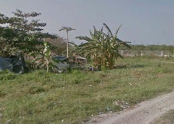 Investigan homicidio de adulto mayor que ejercía liderazgo comunitario en Soledad