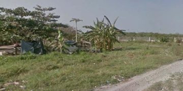 Investigan homicidio de adulto mayor que ejercía liderazgo comunitario en Soledad