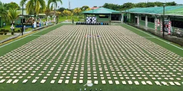 Armada incauta 1,5 toneladas de marihuana en operativo en Timbiquí, Cauca