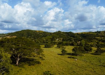 JEP reconoce a los Montes de María como víctima del conflicto armado en el Caso 08
