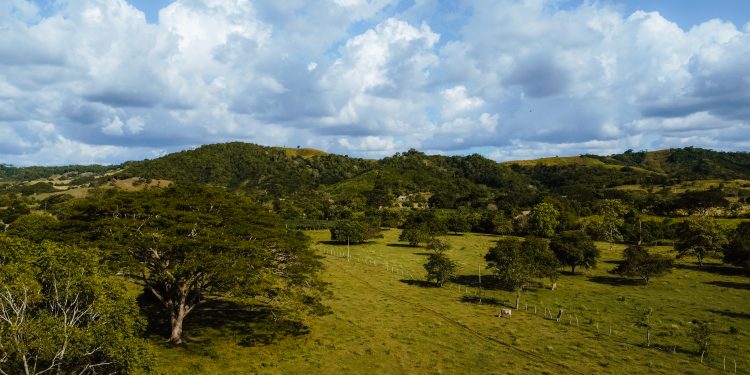 JEP reconoce a los Montes de María como víctima del conflicto armado en el Caso 08