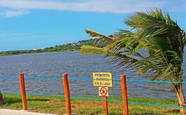 Hallan cadáver con impactos de bala flotando en el Lago del Cisne
