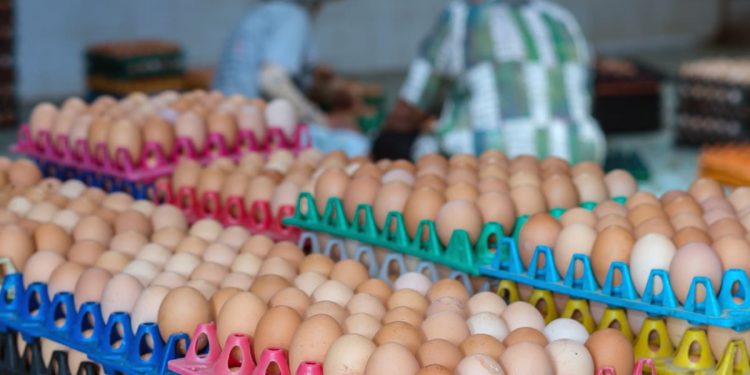 Huevo colombiano obtiene luz verde para ingresar al mercado de Estados Unidos