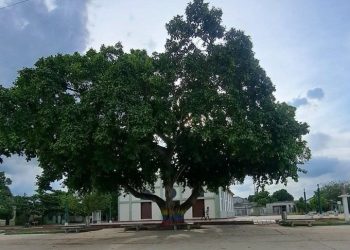 Aprehenden a adolescente señalado de homicidio en Ponedera, Atlántico