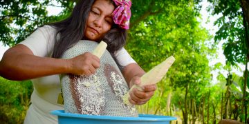 Gobernación del Atlántico impulsa la gastronomía autóctona con el Festival Carnestolendo de la Yuca
