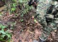 Ejército neutraliza explosivos y desmantela infraestructura ilegal que ponía en riesgo a comunidades de Caquetá y Putumayo