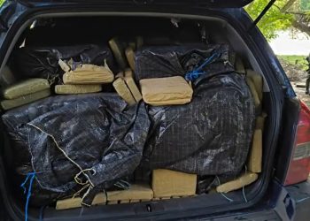 Incautan 800 kilos de marihuana en la vía Mojarras-Popayán, Cauca