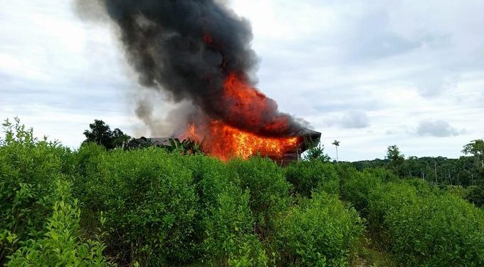Golpe al narcotráfico en el Amazonas: destruyen cuatro laboratorios y casi tres toneladas de droga