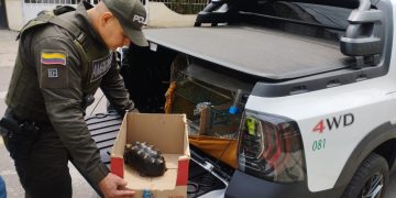 Policía rescató 10 animales de fauna silvestre en tres localidades de Bogotá