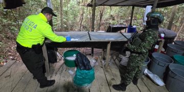 Destruyen laboratorio y decomisan media tonelada de cocaína del ELN en el Catatumbo
