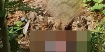 Violencia enlaza dos crímenes en Malambo: mujer asesinada y adolescentes atacados