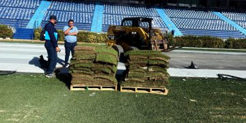 Alcalde Char anuncia una nueva vida para la grama del Metropolitano: será sembrada en parques y espacios públicos de Barranquilla