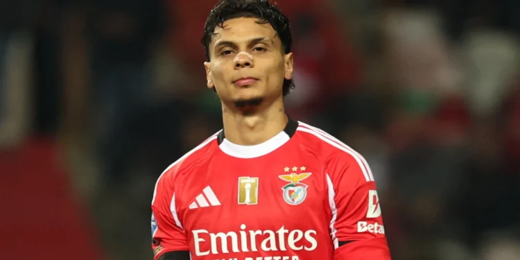 Golpe duro para el Benfica: Richard Ríos se lesionó el hombro y será baja este fin de semana