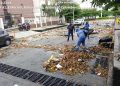 Alcaldía y Triple A siguen trabajando por una Barranquilla Limpia y Linda