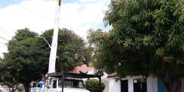 Recreo y Centro de Barranquilla se quedarán sin luz este jueves por labores de poda y mantenimiento de Air-e