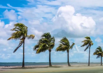 Fuertes vientos pondrán en alerta al Atlántico: norte de Barranquilla entre las zonas más expuestas