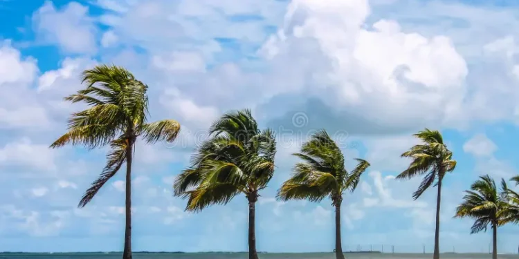 Fuertes vientos pondrán en alerta al Atlántico: norte de Barranquilla entre las zonas más expuestas