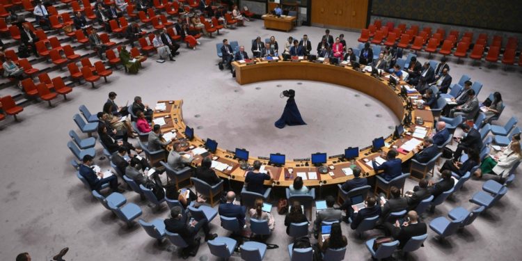 Colombia nuevamente es miembro del Consejo de Seguridad de la ONU