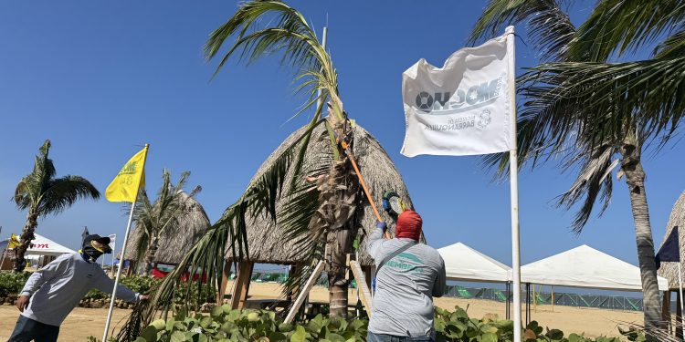 Día Mundial de la Educación Ambiental: administración del alcalde Char promueve conservación de los espacios verdes