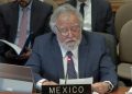 Embajador de México en la OEA advierte: “Intervenciones en Latinoamérica nunca traen democracia ni estabilidad”