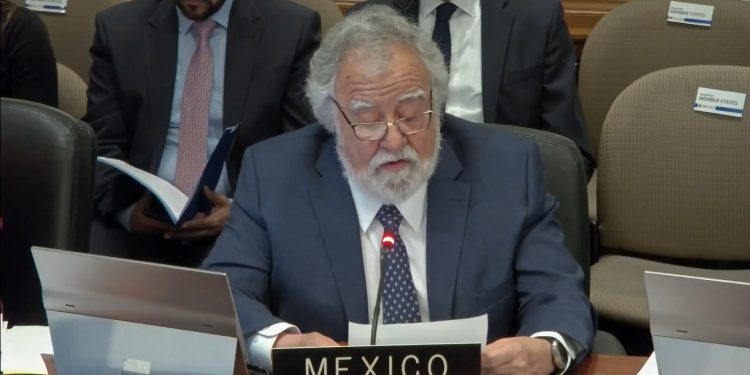 Embajador de México en la OEA advierte: “Intervenciones en Latinoamérica nunca traen democracia ni estabilidad”