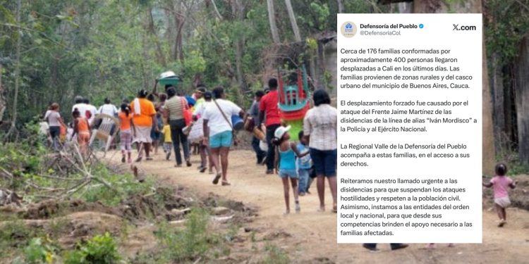 176 familias desplazadas del Cauca llegan a Cali tras ataque de disidencias