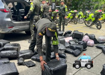 Incautan más de 700 kilos de marihuana y vehículo en el Valle del Cauca