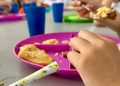 Contraloría detecta irregularidades por más de $53.000 millones en el Programa de Alimentación Escolar