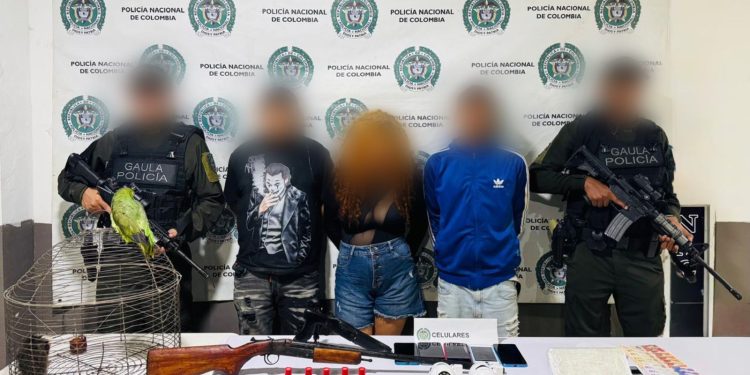 Golpe al Clan del Golfo en San Jacinto: capturan a tres presuntos integrantes y decomisan armas, droga y fauna silvestre