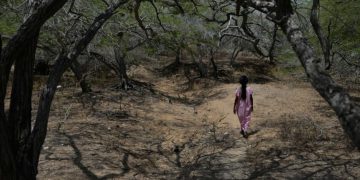 Acción en territorio: Procuraduría fortalece protección de la niñez Wayúu en Uribia, La Guajira