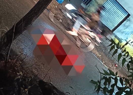 Mujer adulta mayor fallece tras ser atropellada en la Vía Oriental