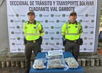 Así incautaron 2.000 dosis de marihuana que pretendían ingresar a Cartagena