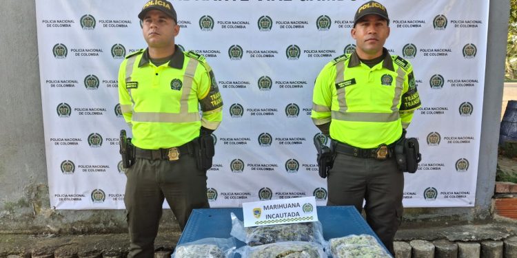 Así incautaron 2.000 dosis de marihuana que pretendían ingresar a Cartagena