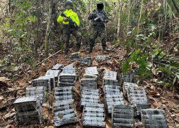 Ejército evitó la comercialización de más de un millón de dosis de cocaína en los Estados Unidos