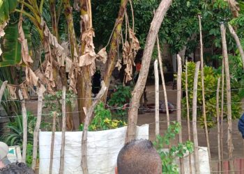 Doble homicidio en Malambo: sicario irrumpió en vivienda del corregimiento de Caracolí