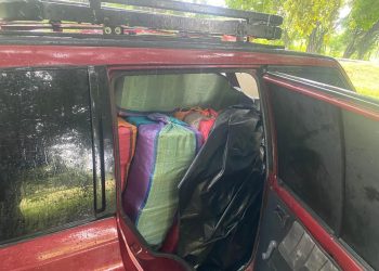 Policía incauta más de media tonelada de marihuana en Cauca