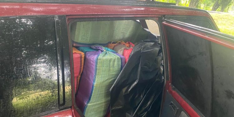 Policía incauta más de media tonelada de marihuana en Cauca