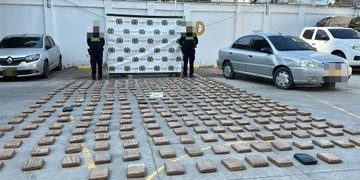 Incautan 188 kilos de marihuana en Cartagena, presunta carga del Clan del Golfo