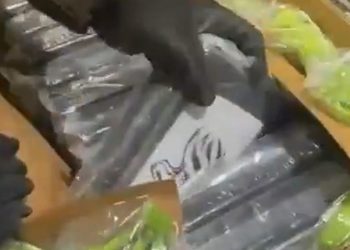 Incautan 441 kilos de cocaína ocultos en cargamento de banano en Santa Marta