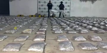 Incautan 730 kilos de marihuana en vivienda de Bellarena vinculada a banda ‘Los Pepes’