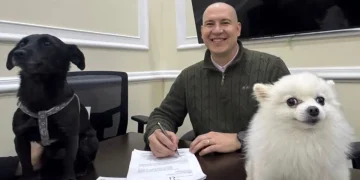 SOAT cubriría atención veterinaria de animales atropellados