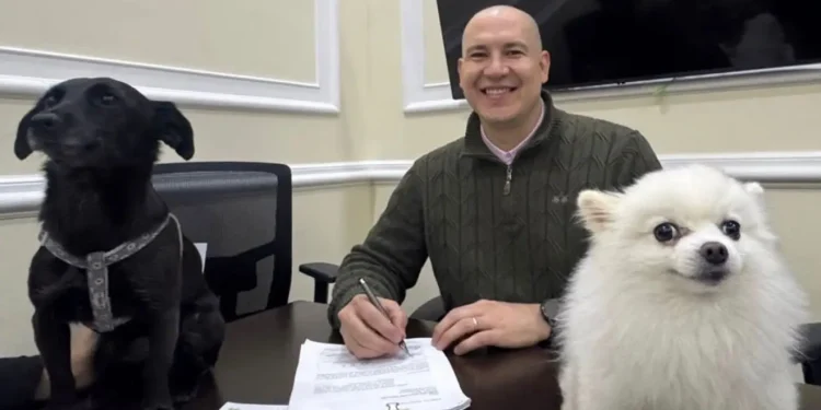 SOAT cubriría atención veterinaria de animales atropellados