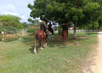 Policía de Bolívar patrulla a caballo para brindar seguridad en Arjona