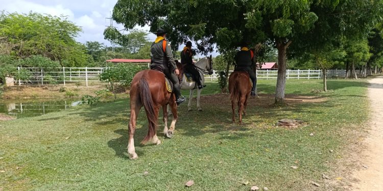 Policía de Bolívar patrulla a caballo para brindar seguridad en Arjona