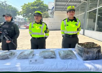 ¡Golpe al microtráfico! Cae marihuana creepy en operativos en Bolívar