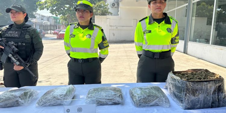 ¡Golpe al microtráfico! Cae marihuana creepy en operativos en Bolívar